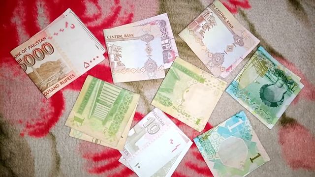 How to send money from Pakistan to India | Western union money transfer смотреть онлайн