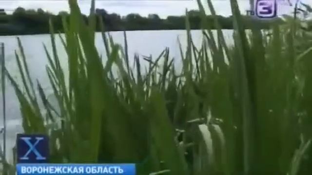 #10VIDEO Дон переплыла Большая ЧУПАКАБРА смотреть онлайн