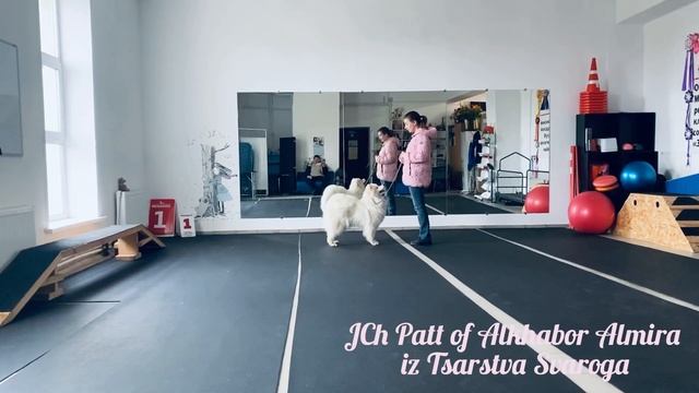JCh Part of Alkhabor Almira iz Tsarstva Svaroga смотреть онлайн