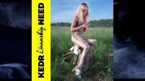 Kedr Livanskiy – Sky Kisses на танцполе