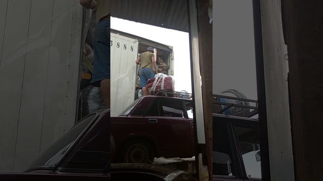 Грузоперевозки Москва Таджикистан смотреть онлайн