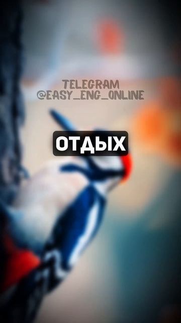 ☀️🇬🇧 Только 1 из 10 справится переводом с этих слов! (6) 😎 Английский язык на каждый день 🇬🇧