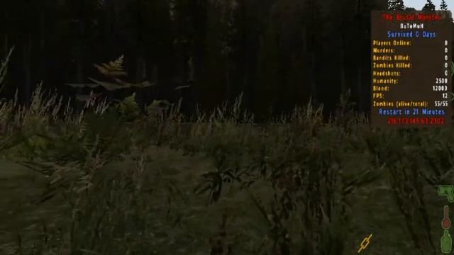 как BuToMuH начал играть в Arma 2 DayZ ( пацаны и чики наконец то ) ууууууурррраааааа смотреть онлайн