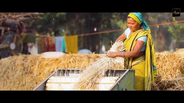 Rang Kesariya | Desh Bhakti Song 2023 | Rituraj Mohanty | Sachin | Rajib | Cinetra Entertainment смотреть онлайн