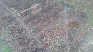 Снег в саду и огороде: что с ним делать