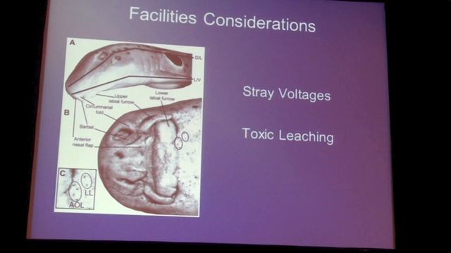 Shark health management Управление здоровьем акул  Michael Stoskopf