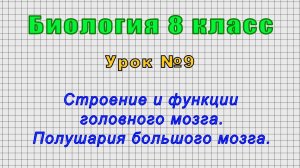 Биология 8 класс (Урок№9 - Строение и функции головного мозга. Полушария большого мозга.)
