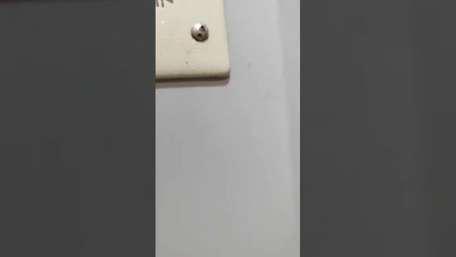 26 июля 2024 г. смотреть онлайн