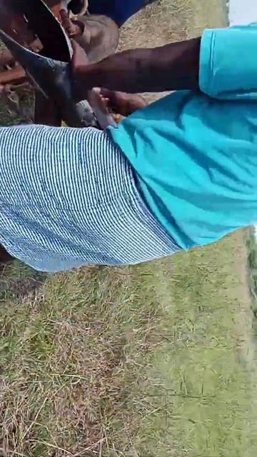 borewell pressing casing cleaning trick # short video смотреть онлайн