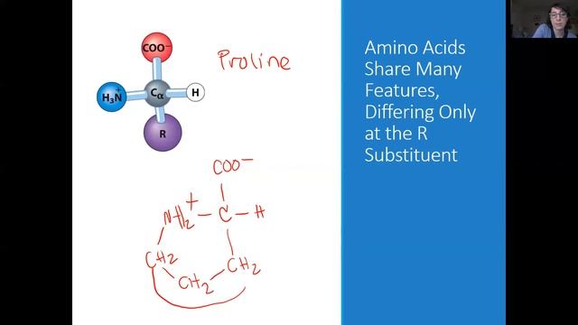 Biochemistry Lecture 3.1 смотреть онлайн