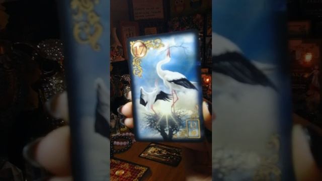 Утренний кофе с Юлией и карта дня! А для личных раскладов пишем в Ватсап 8903 2172570