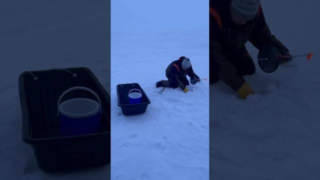 Зимняя рыбалочка на судака! смотреть онлайн