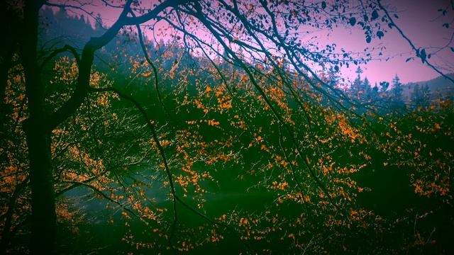 Egor Grushin - Unpublished Song (2015)
