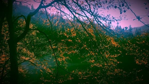 Egor Grushin - Unpublished Song (2015)