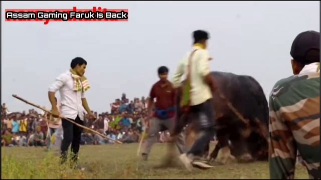 মঙ্গল দেউৰী Vs মিনাল কোৱৰ তয়া ময়া যোজ || Mongol Dewri Vs Minal Kunwar || @AGF_FARUK. смотреть онлайн
