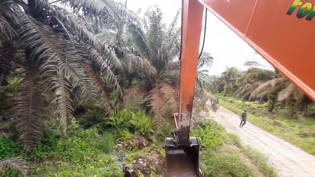 Serasa Gempa,Dari atas KABIN EXCAVATOR смотреть онлайн