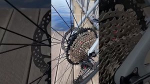 Велосипед Twitter Warrior Pro