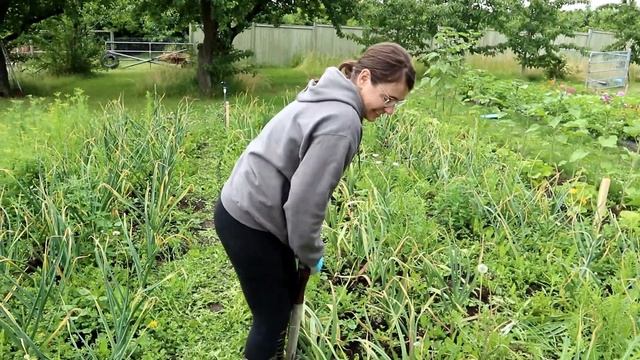 GARLIC FIGHT! смотреть онлайн