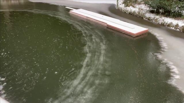 Легкий морозец.Новости с пруда смотреть онлайн