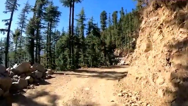 बिलासपुर : 10 घंटों में 102 KM सफर तय कर शिकारी देवी पहुंचा 45 वर्षीय सचिन смотреть онлайн