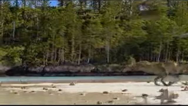 Eustreptospondylis vs Rhamphorhynchus смотреть онлайн