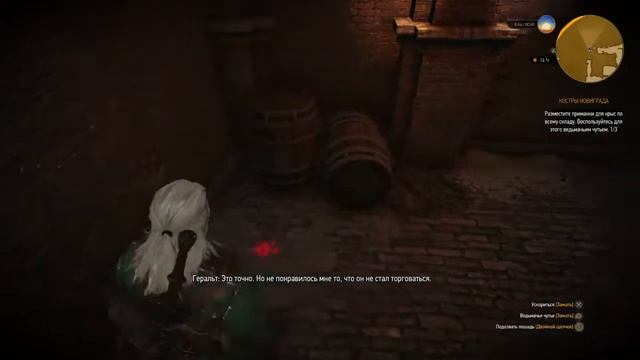 Прохождение Ведьмак 3 The Witcher 3 №12 смотреть онлайн