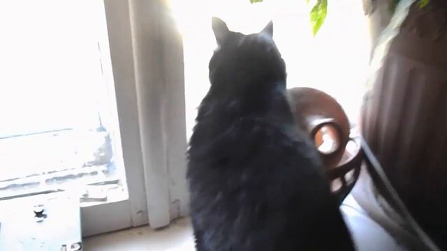 Земельные участки в живописном месте смотреть онлайн