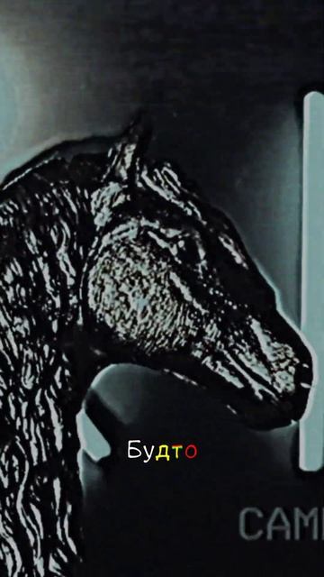 Еще одно видео под этот звук ~ Лектор и Ворон 🖤 #schleich #фигурки #шляйх #figures #сериалы_шляйх смотреть онлайн