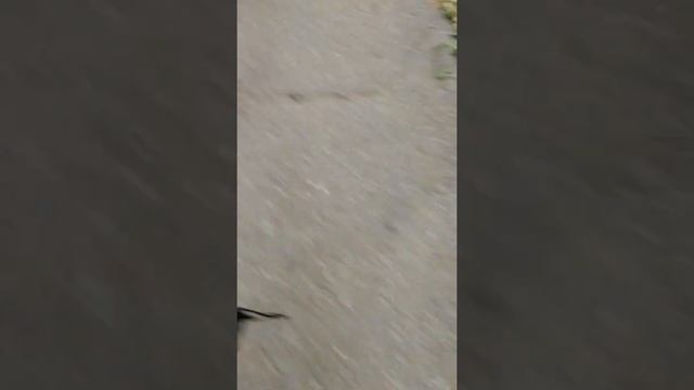 выхожу со школы к маме в магаз магнит