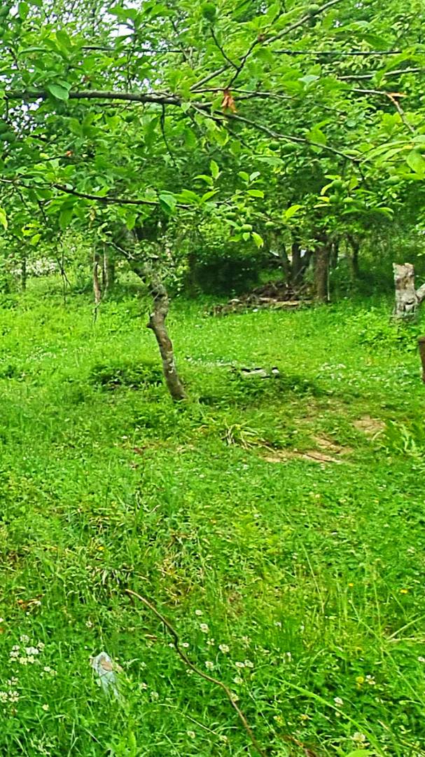 ⭐️5 соток, Вардане-Верино, снт Холодный ключ 32 участок смотреть онлайн