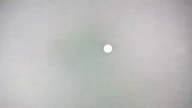 акула леон из пластилина смотреть онлайн