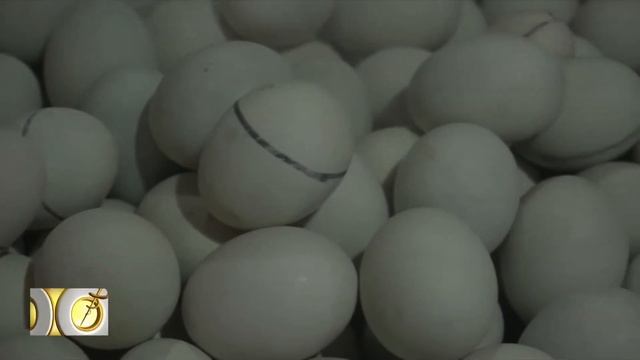 The pros and cons of 'balut' and 'penoy' | Salamat Dok смотреть онлайн