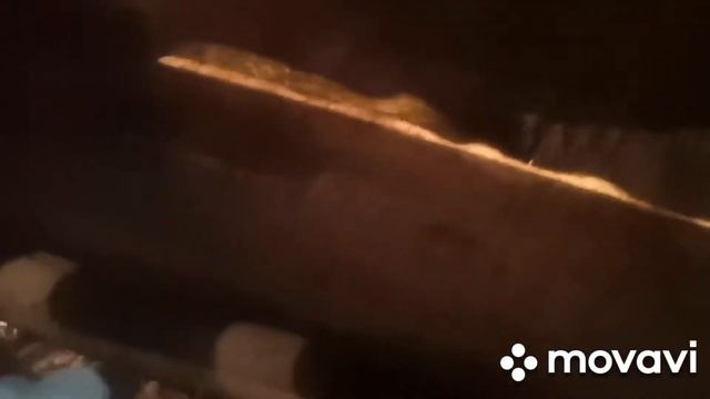 Привесы  телят. Видео записано 3 марта.