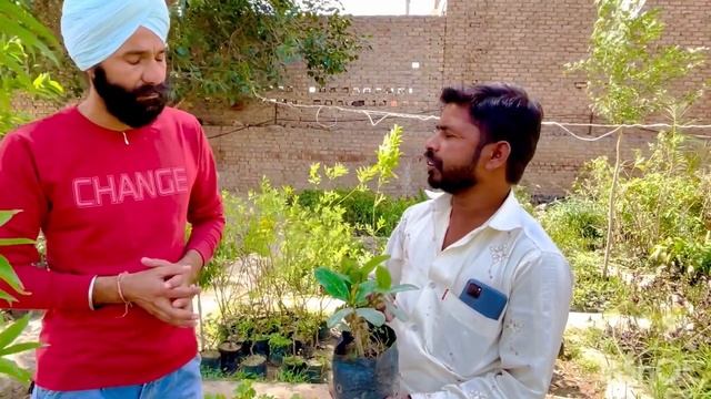 कम पानी के सजावटी पौधे💐🌺/Pooja nursery gharsana BK KING смотреть онлайн