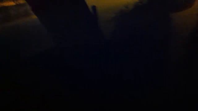 КОШКИ ПЬЮТ ВОДУ 3 смотреть онлайн