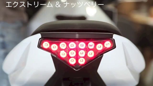 Ninja400R Ninja650 ER-6 SMD LEDテールランプ ユニット LEDウインカー内蔵［1A015］ смотреть онлайн