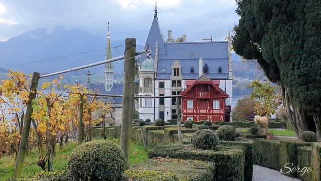 #кометы,  Meggen #2, Тётушке посвящается...