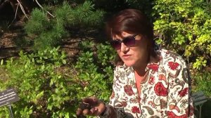 Как отражеться на голубике неправильная посадка