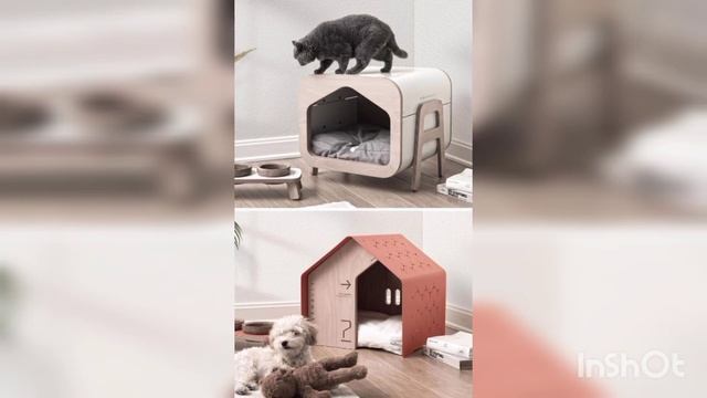 BEST CAT HOUSE