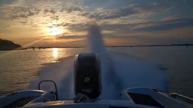 Mercury Optimax Pro Xs 150hp 2.5L Su Tullio Abbate Sea Star 20