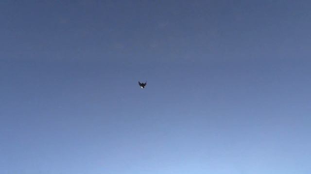 Последние тренировки СВГ в 2014 г