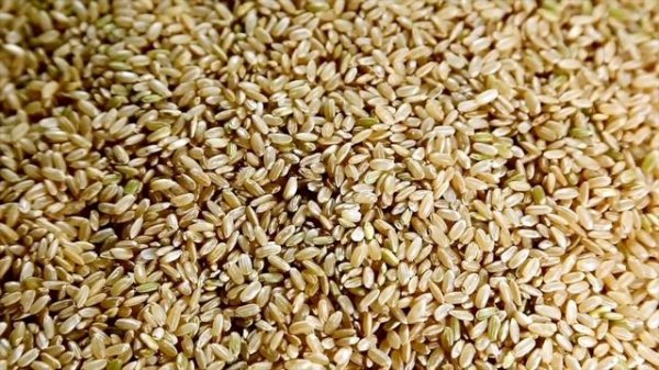 The Hidden Reason You're Not Losing Weight