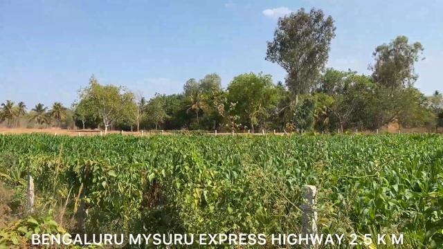 29 GUNTE AGRICULTURE LAND FOR SALE BENGALURU 77 KM BENGALURU MYSURU EXPRESS HIGHWAY 2.5KM 916498986 смотреть онлайн