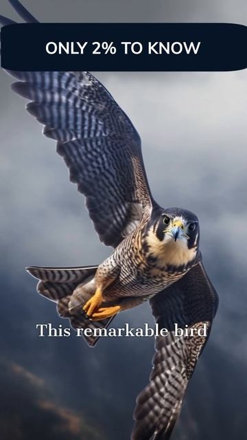 Cheetah Is Not The Fastest Animal On Earth! 😳 - #shorts #facts смотреть онлайн