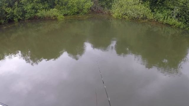 Rapala X-Rap Haku !Pike attack! смотреть онлайн