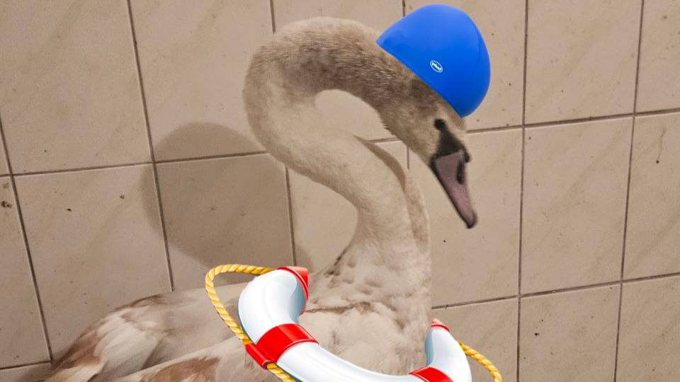 🔴LIVE🔴 Брестский аист, ЭФИР, БАССЕЙН ШИПУЛЬКИ