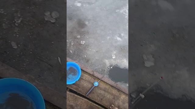 зімня рибалка з мостіка на синьку смотреть онлайн