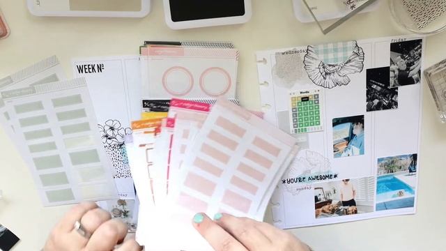 Plan With Me | Memory Planner | Clear Stamps | Classic Happy Planner Erin Condren | Stop The Blur смотреть онлайн