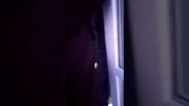 Подвоз избирателей из Приднестровья смотреть онлайн