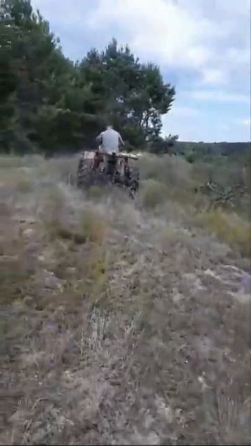 #квадроцикл своїми руками. тест драйв. на базі мотора із таврії